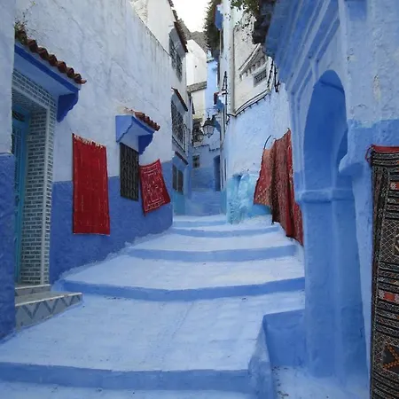 Bed & Breakfast Le Maroxidien Amsterdam